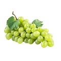 Vinos y bebidas